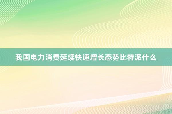 我国电力消费延续快速增长态势比特派什么