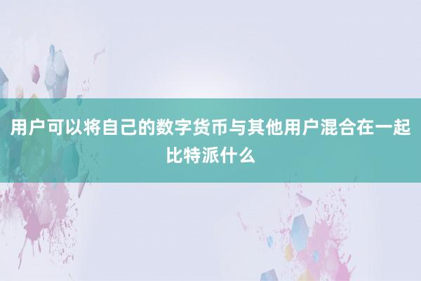 用户可以将自己的数字货币与其他用户混合在一起比特派什么