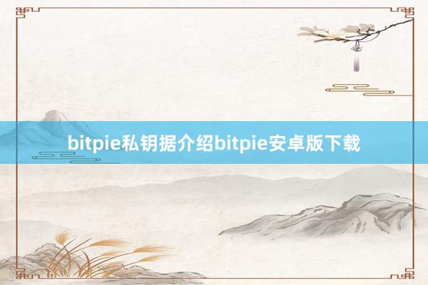 bitpie私钥据介绍bitpie安卓版下载