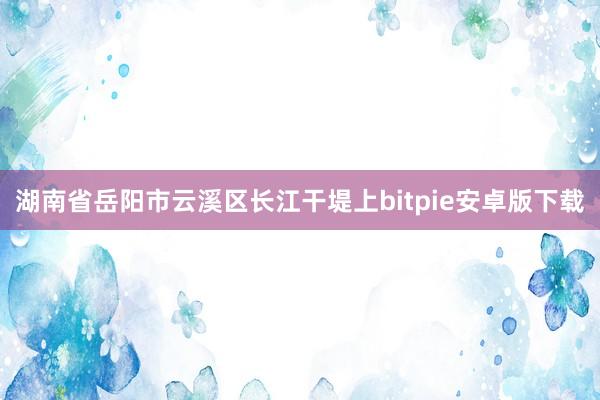 湖南省岳阳市云溪区长江干堤上bitpie安卓版下载