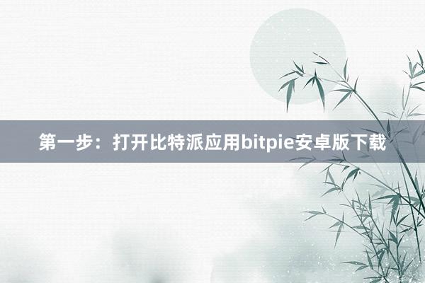 第一步：打开比特派应用bitpie安卓版下载