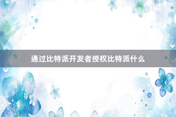 通过比特派开发者授权比特派什么