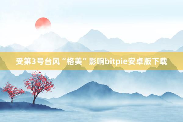 受第3号台风“格美”影响bitpie安卓版下载