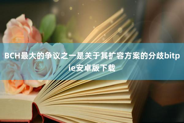 BCH最大的争议之一是关于其扩容方案的分歧bitpie安卓版下载