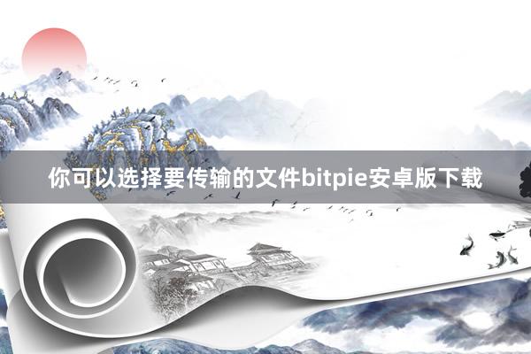 你可以选择要传输的文件bitpie安卓版下载