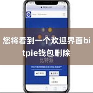 您将看到一个欢迎界面bitpie钱包删除