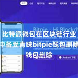 比特派钱包在区块链行业中备受青睐bitpie钱包删除