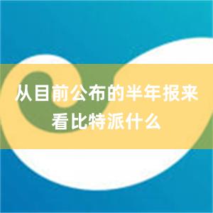 从目前公布的半年报来看比特派什么