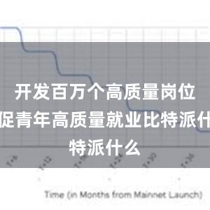 开发百万个高质量岗位力促青年高质量就业比特派什么