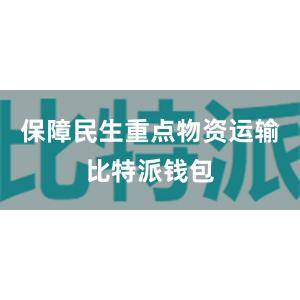 保障民生重点物资运输比特派钱包