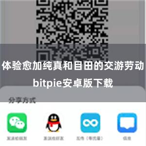 体验愈加纯真和目田的交游劳动bitpie安卓版下载