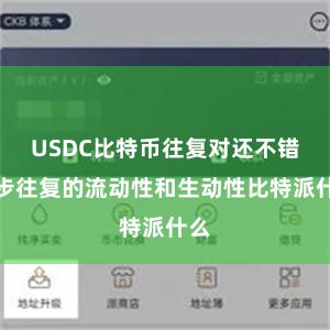 USDC比特币往复对还不错进步往复的流动性和生动性比特派什么