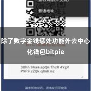 除了数字金钱惩处功能外去中心化钱包bitpie